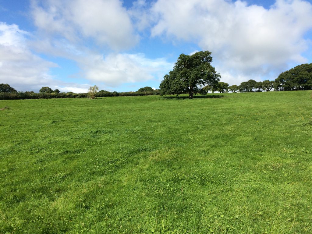 SOLD Land at Cheriton 6.06 acres West Country Rural